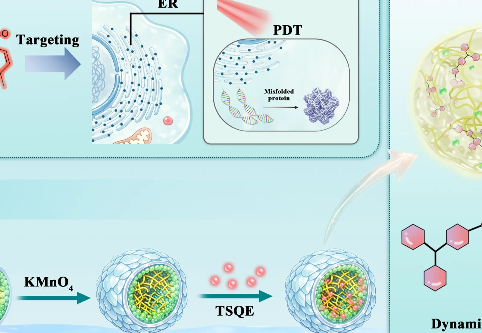 Cellular Delivery Pathway — Graphical Abstracts, Targeted drug delivery, draft artwork before refinement
