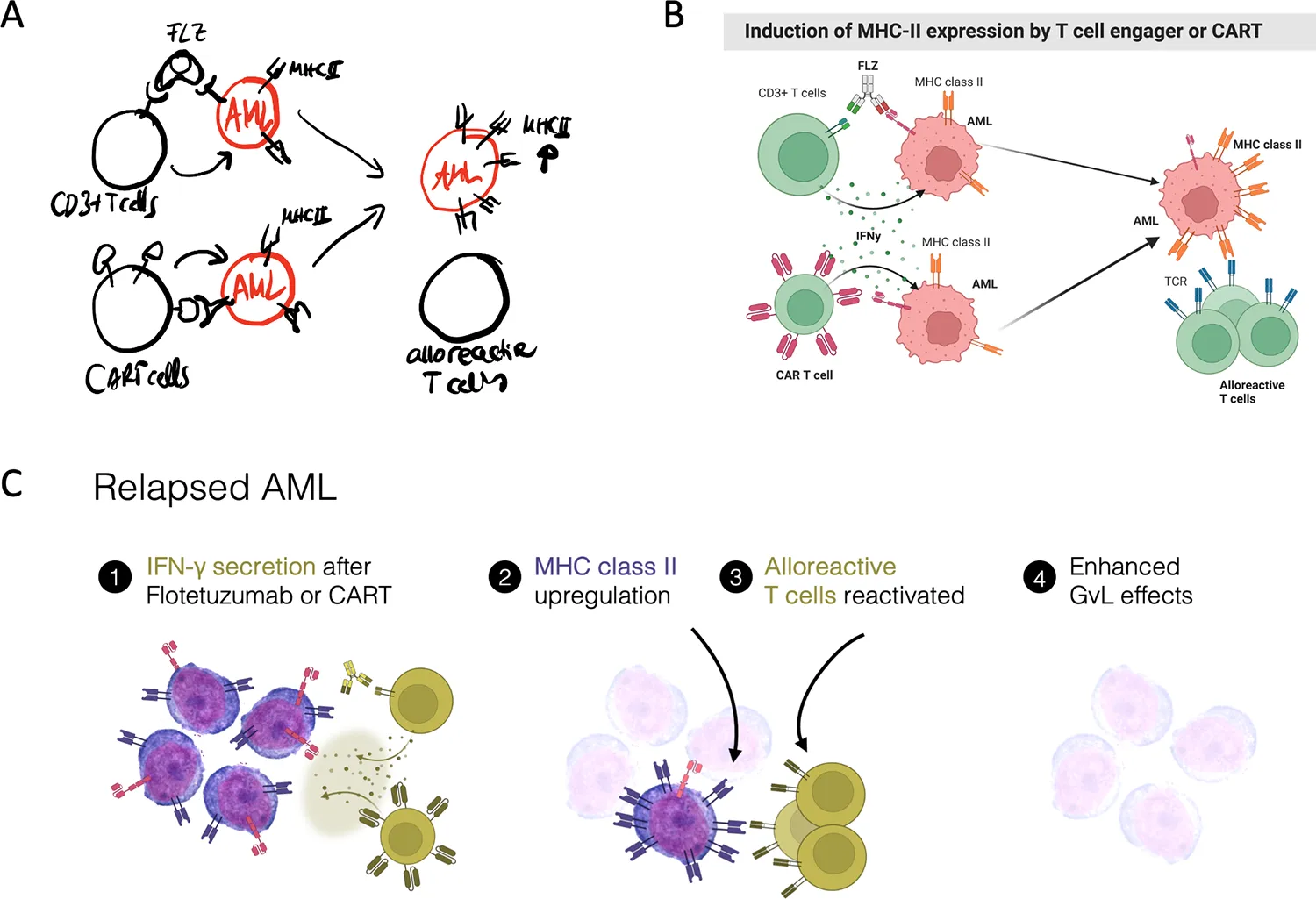 Three stages in graphical abstract development showing a hand sketch, a rapid digital draft, and the refined final scientific illustration
