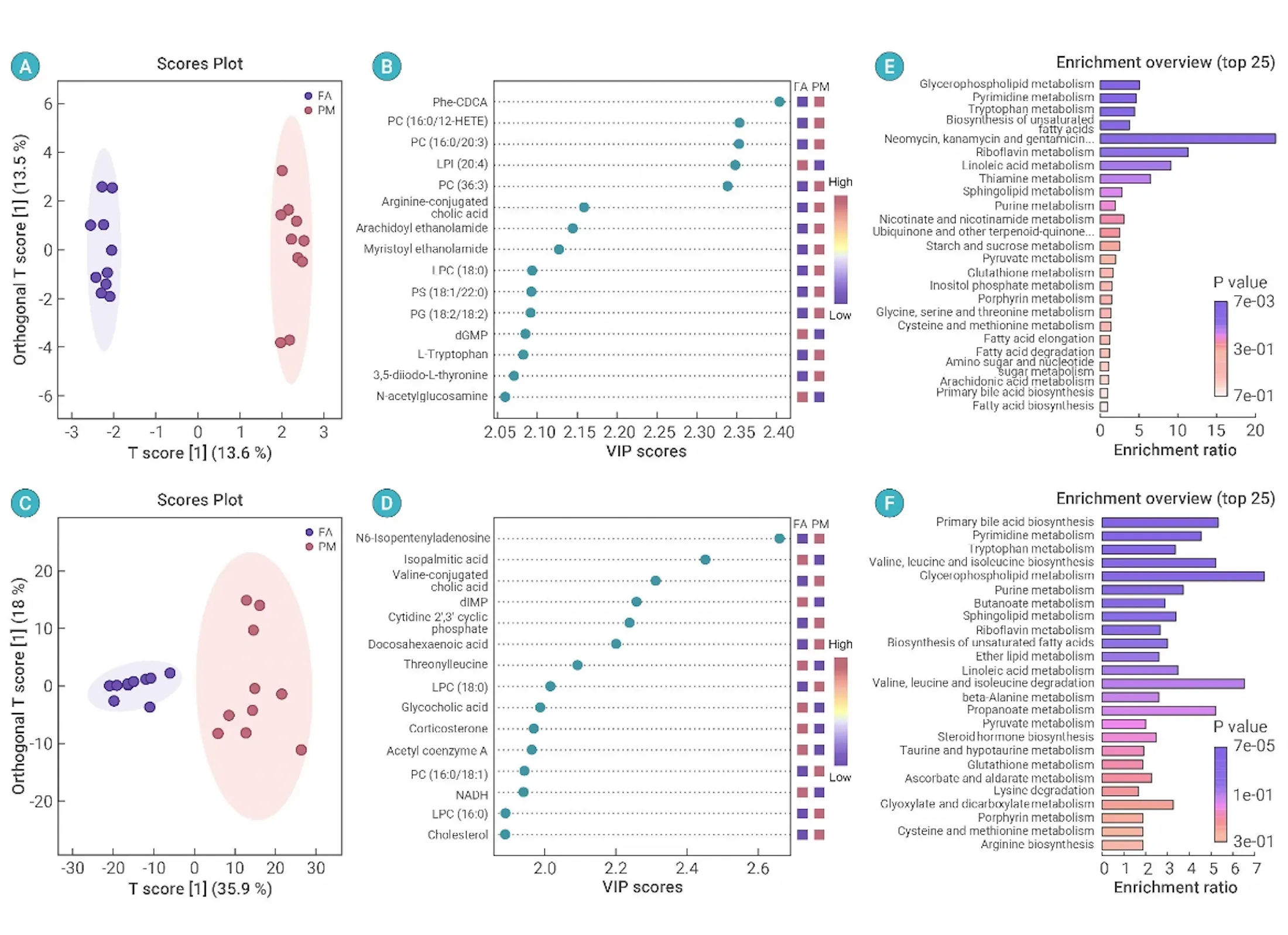 Metabolomics data visualization with group-separation plots, ranked VIP scores and enrichment bar charts