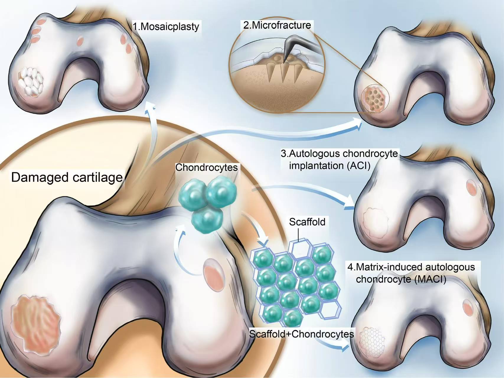 Molecular visual study